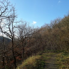 Herbstwanderung um das Staubecken Heimbach Herbstwanderung um das Staubecken Heimbach