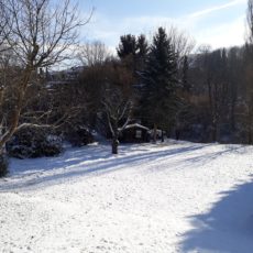 Wanderung mit Hund durch den Schnee Wanderung mit Hund durch den Schnee