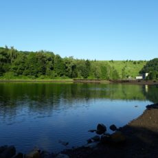 Morgenwanderung um den Rursee im Juni Morgenwanderung um den Rursee im Juni